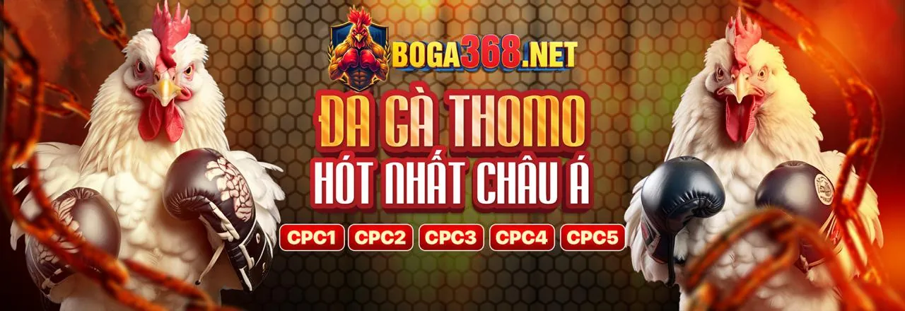 Điều khoản và điều kiện của 6ff9