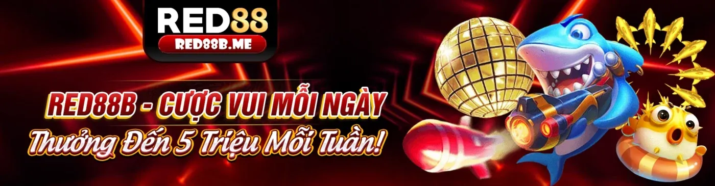 Hình ảnh giới thiệu 6FF9, nền tảng cá cược trực tuyến hàng đầu